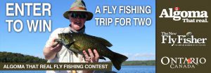 2017-Algoma-Fly-Contest-Banner(2)