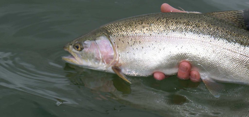 alaska-fly-fishing