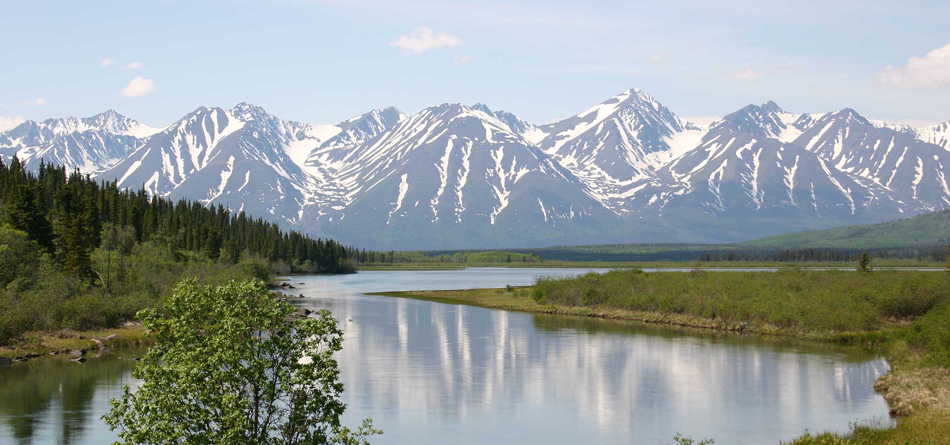 Alberta Canada - Fly Fishing - The New Fly Fisher