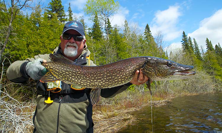 algoma-northern-pike-photo3