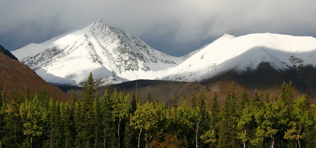 british-columbia-the-new-fly-fisher1