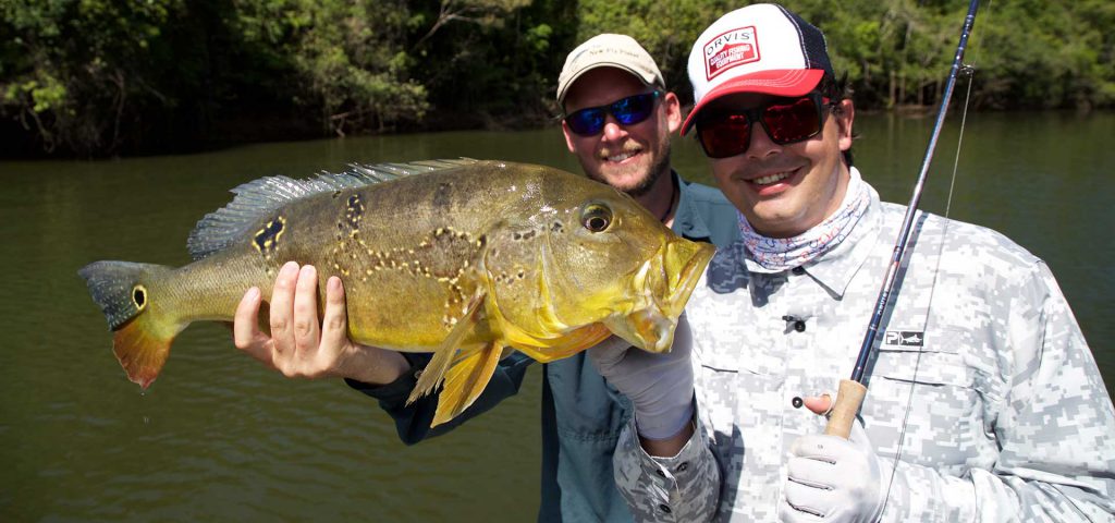 brazil-peacock-bass