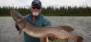 northern-pike-in-ontario-tnff