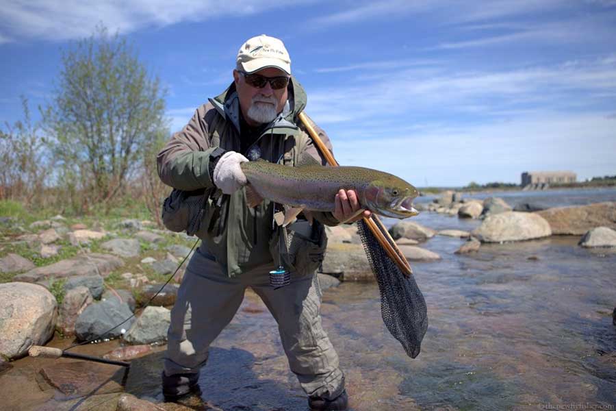 Algoma's Migratory Trout and Salmon