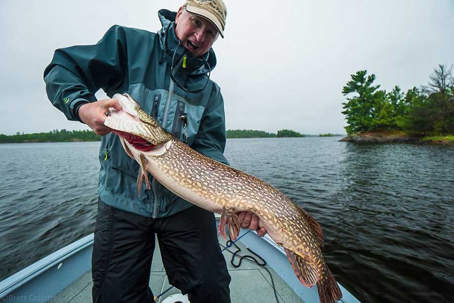 big-pike-900x600