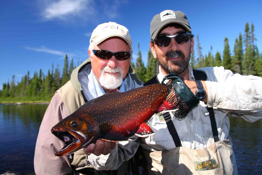 Labrador Brook Trout - The New Fly Fisher