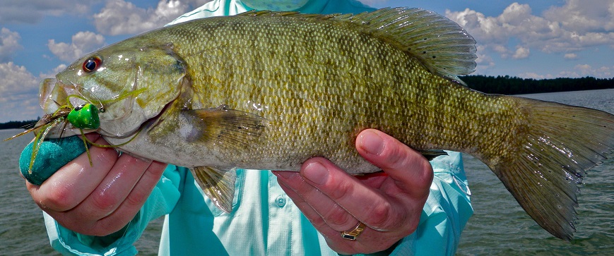 Poppers are great for catching smallmouth bass