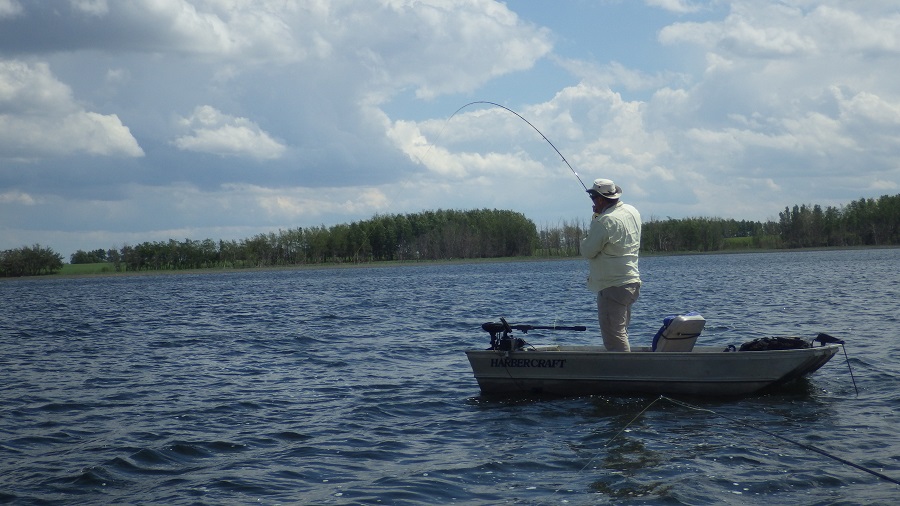 Casting and Retrieval Skills for Stillwater Success