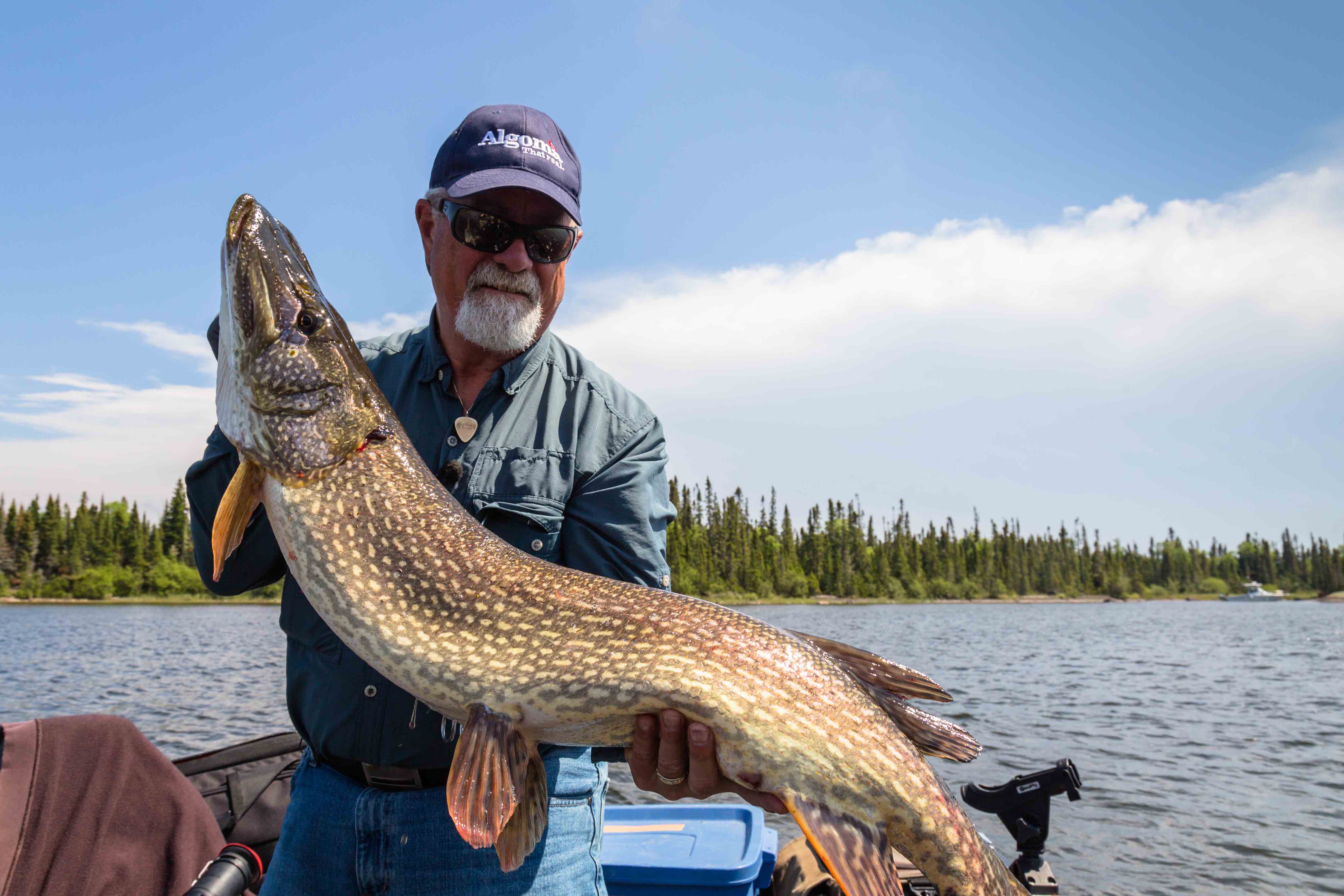 Onaman River Resort The New Fly Fisher