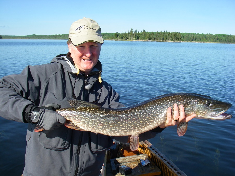 Pike and Walleye on a Fly