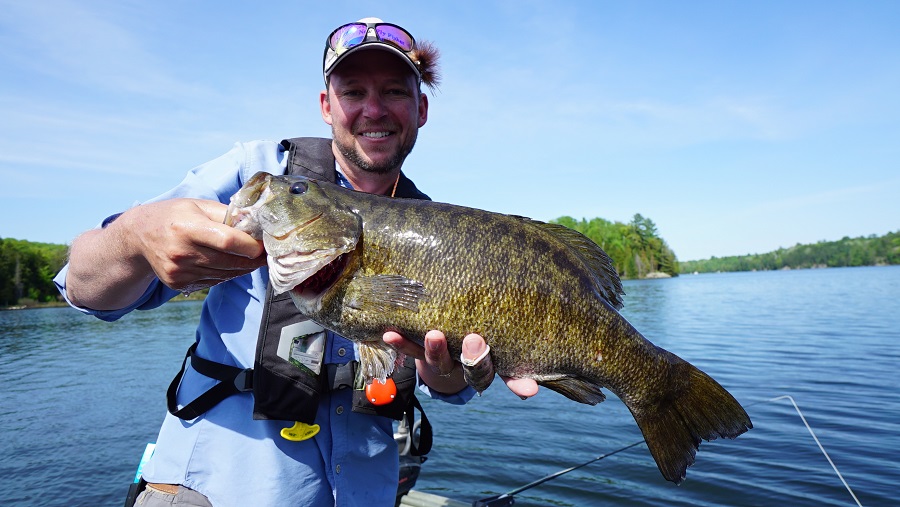 Two Days in May (or what bass fishing dreams are made of) - The New Fly  Fisher
